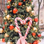 Profile Picture of Winter Wonderland (@worldwide_walker_) on Instagram