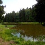 Profile Picture of Broadgate (@broadgateselia1) on Instagram