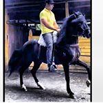 Profile Picture of Michael bedoya villa  🐴de❤💪 (@michaelvilla587) on Instagram