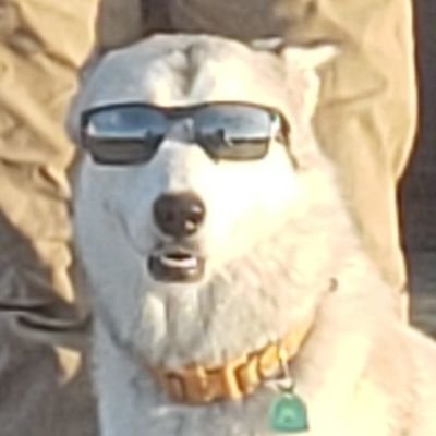 Profile Picture of Travis Kubik (@kubik89) on Twitter