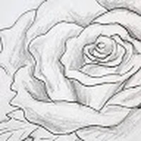 Profile Picture of Hamdi Ibrahim (@hamdi-ibrahim-28) on Quora