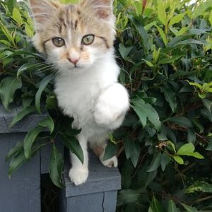 Profile Picture of Noel Kavanagh (@NoelKavanagh47) on Twitter