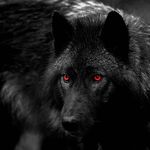 Profile Picture of Henry Patrick Ridout (@henrypatrickridout) on Instagram