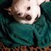Profile Picture of Tammy Fleming (@tammy.fleming.712) on Facebook