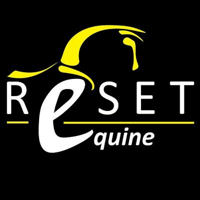 Nancy Ellison-Murray - Twitter Profile Picture of Nancy Ellison-Murray (@RESETEquine) on Twitter