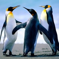 Profile Picture of Aaron Edwin (@aaron-edwin) on Quora