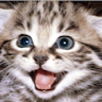 Profile Picture of Tanner Morse (@tanner-morse-4) on Quora