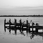 Profile Picture of Leah Williams (@leahwilliams1) on Flickr