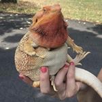 Profile Picture of Michael Cavaleri (@m1chael_cava) on Instagram