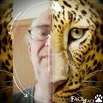 Profile Picture of Allan Shaffer (@shafferallan) on Instagram