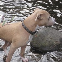 Profile Picture of Amanda Owen-walkup (@amanda-owen-walkup) on Quora