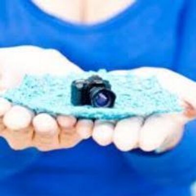 Octavius Hahn - Twitter Profile Picture of Octavius Hahn (@ColemanRuben992) on Twitter