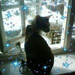 Profile Picture of Yetta Bennett (@carol2ramblingivy) on Instagram