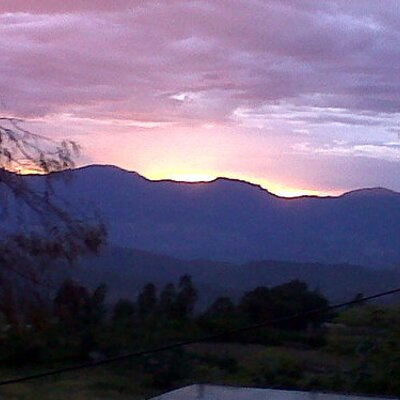 Profile Picture of ALEXANDER BARRIOS (@levitalexander) on Twitter