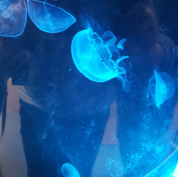 Profile Picture of Tina Upton (@tinaupton) on Poshmark