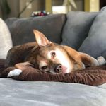 Profile Picture of Marjan Akhavan (@maakhava) on Instagram