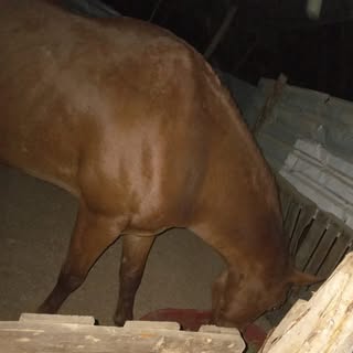 Profile Picture of Cecilio Cota (@ceciliocota) on Instagram