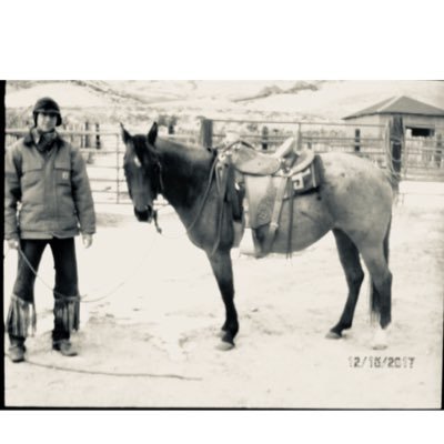 Profile Picture of Matt Wines (@MattWines1) on Twitter