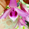 Profile Picture of Kim Eddy (@@kimeddy8) on Tiktok