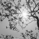 Profile Picture of Rafael Jimenez F (@rafaeljimenezfoto) on Instagram