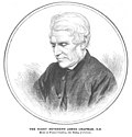 Profile Picture of James Chapman (bishop)on Wikipedia