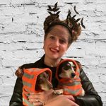 Profile Picture of Stack Stacy House (@lucystackhouse) on Instagram