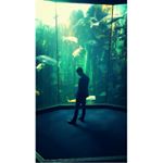 Profile Picture of Charles Hsu (@hsuism_) on Instagram