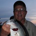 Profile Picture of Billy Ray Hall (@akabrutus52) on Instagram