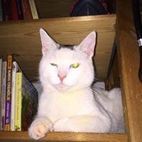 Profile Picture of Johan Ahn Ejsing (@johan-ahn-ejsing) on Quora