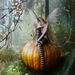 Profile Picture of Debbie Stephenson (@dssblue21) on Pinterest