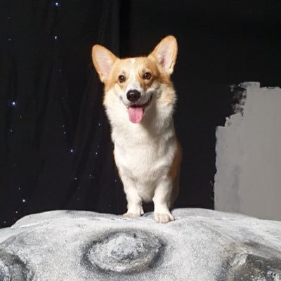 Profile Picture of Cal-Turd 🤍🙏🏻😇 (@TitaKimyNiCal) on Twitter