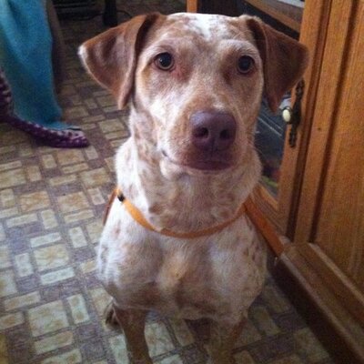 Profile Picture of Parker Yates (@parkeryates3) on Twitter