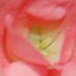 Profile Picture of Tierè (@tierè) on Flickr