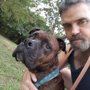 Profile Picture of Patrick Edison (@PatrickEdison9) on Twitter