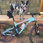 Profile Picture of Jason Talmage (@jason.talmage1) on Instagram