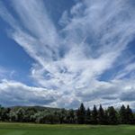 Profile Picture of Paula Sinn-Penfold (@paulasinnpenfold) on Instagram