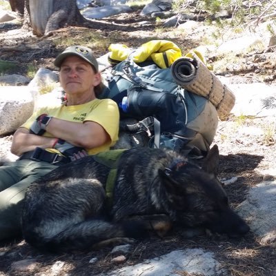 Profile Picture of Shay Cook (@ShayCook) on Twitter