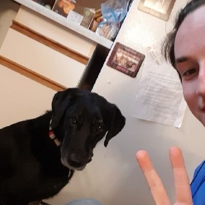 Profile Picture of Darcy Tyrrell (@darcy_tyrrell12) on Twitter