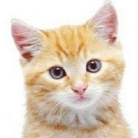 Profile Picture of Ryan Crespo (@ryan-crespo-1) on Quora