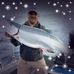Profile Picture of Marek Zadlo (@marek.zadlo.3) on Facebook