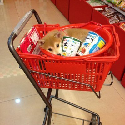 Profile Picture of Travis Fawcett-McGuire (@TravisMCFAW) on Twitter