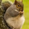 Profile Picture of Michael Crivello (@michaelcrivello) on Tiktok