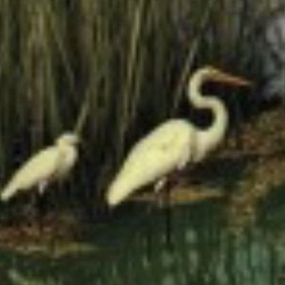 Profile Picture of Steven Hooker (@Zicheng3Steve) on Twitter