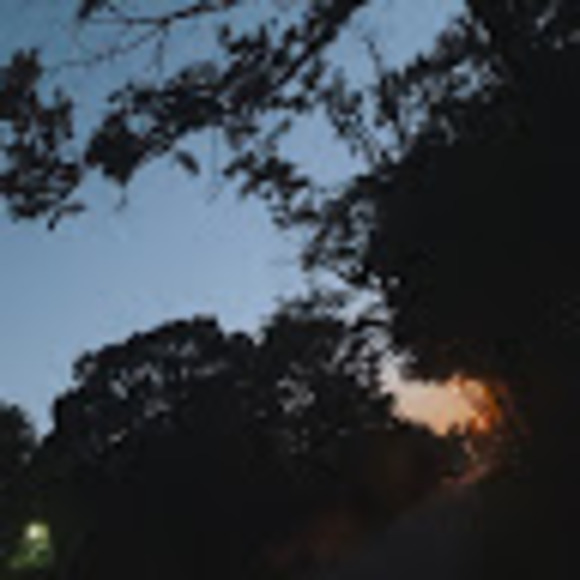 Profile Picture of Sofia Smith (@sofiayarsmith05) on Poshmark