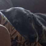 Profile Picture of Josie Eckley (@eckleyjosie) on Instagram