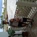 Profile Picture of Brian Borrego Socara (@brian.borregosocara) on Facebook