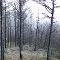 Profile Picture of Michael Matulka (@michael-matulka-2) on Quora