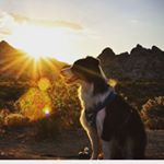 Profile Picture of Dr.. Ricardo sambrano (@doctor_sambrano) on Instagram