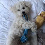 Profile Picture of Phylis (@big_phylis) on Instagram