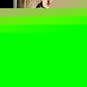 Profile Picture of Richard Garza (@rickleeart) on Myspace
